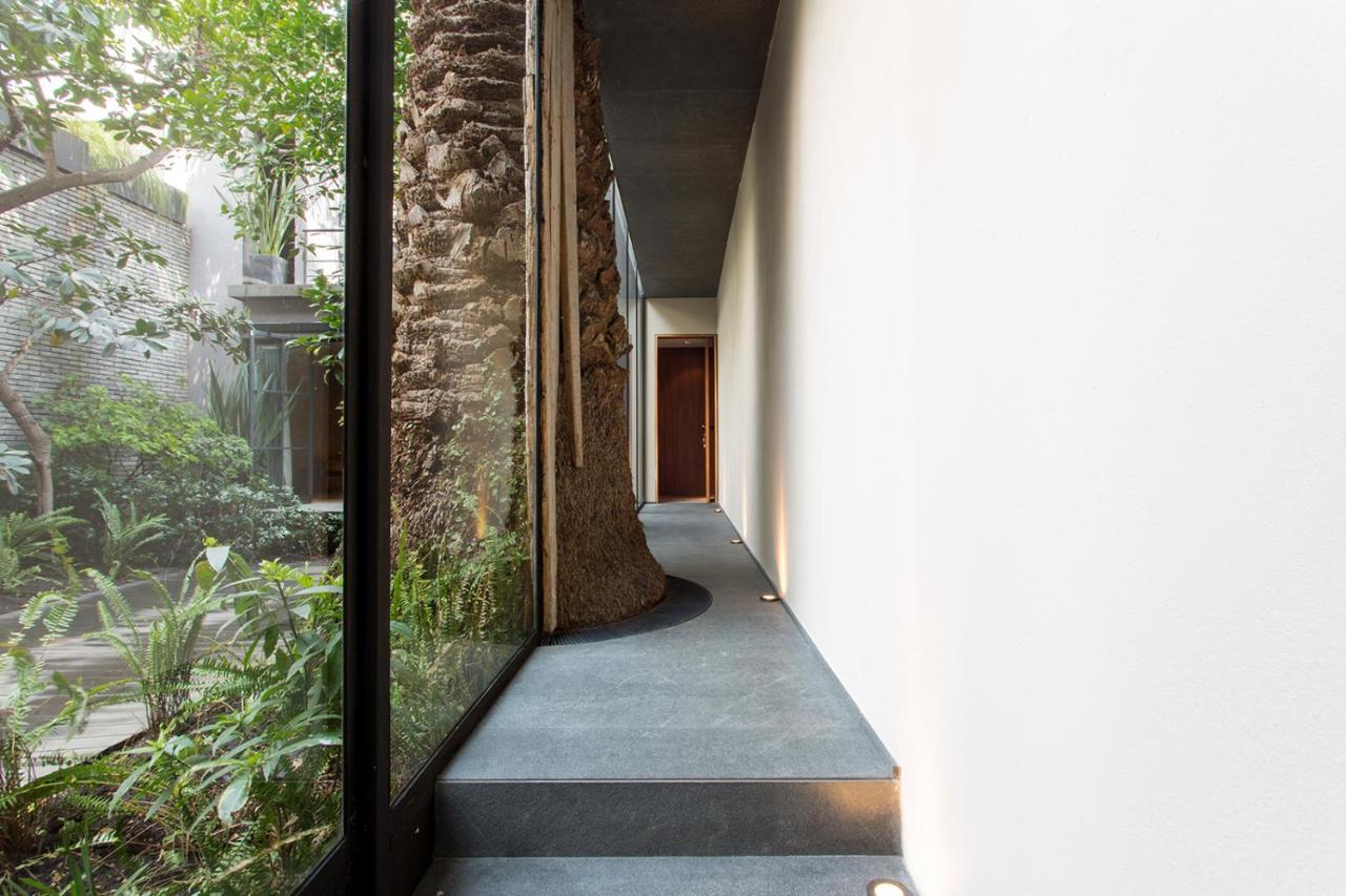 Casa 9 Hotel Mexico By Eksteriør billede